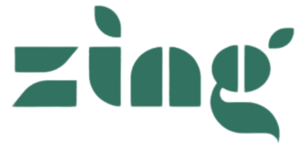 Zing Logo